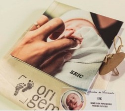 Modelo do Mini Álbum